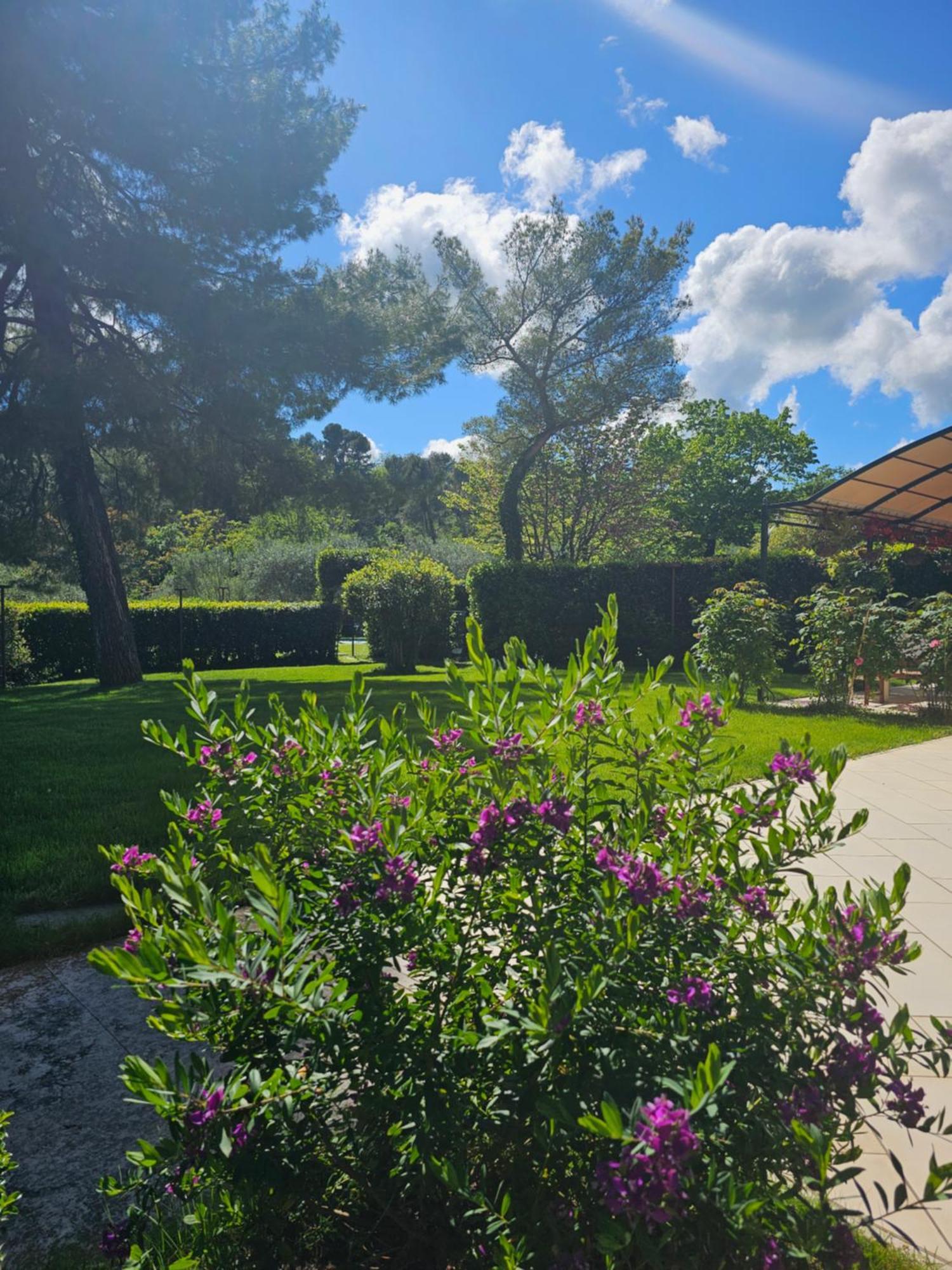 Villa Monacelli B&B 파노 외부 사진